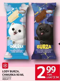 Selgros Lody burza, chmurka Selgros oferta