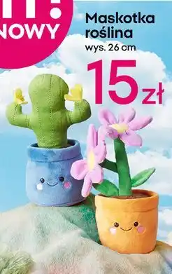 Pepco Maskotka roślina 26 cm oferta