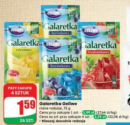 Dino Galaretka Gellwe różne rodzaje oferta