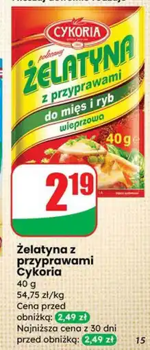 Dino Żelatyna z przyprawami Cykoria oferta