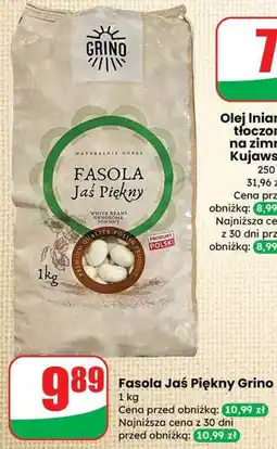 Dino Fasola Jaś Piękny Grino oferta