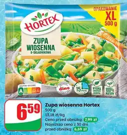 Dino Zupa wiosenna Hortex oferta