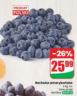 Dino Borówka amerykańska Dino oferta