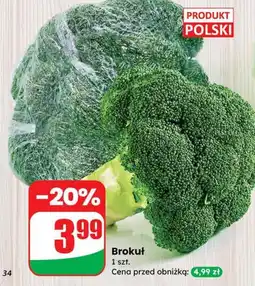 Dino Brokuł Dino oferta
