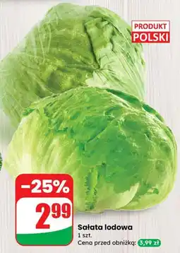 Dino Sałata lodowa Dino oferta