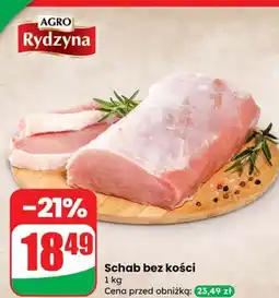Dino Schab bez kości Agro Rydzyna oferta
