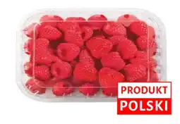 Dino Malina polska Dino oferta