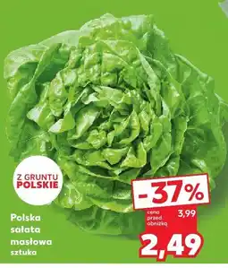 Kaufland Sałata masłowa polska Kaufland oferta