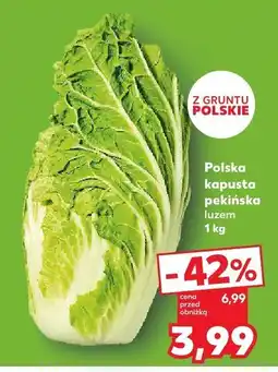 Kaufland Kapusta pekińska polska Kaufland oferta