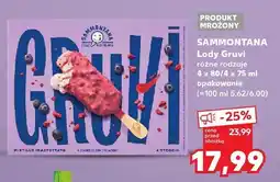 Kaufland Lody Gruvi SAMMONTANA oferta