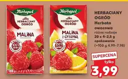 Kaufland Herbata owocowa Herbaciany Ogród Herbapol oferta