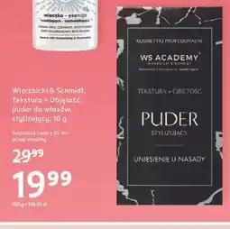 Rossmann Puder stylizujący do włosów Ws Academy oferta