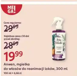 Rossmann Mgiełka do reanimacji loków i fal pina lokada Anwen oferta