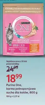 Rossmann Karma dla kota junior Purina One oferta