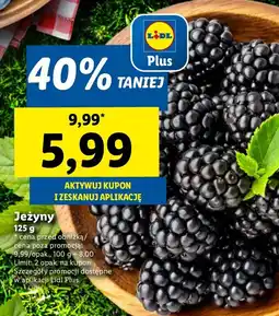 Lidl Jeżyny Lidl oferta