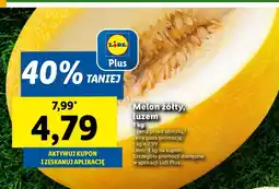 Lidl Melon żółty Lidl oferta