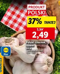 Lidl Czosnek Lidl oferta