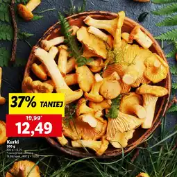 Lidl Kurki Lidl oferta
