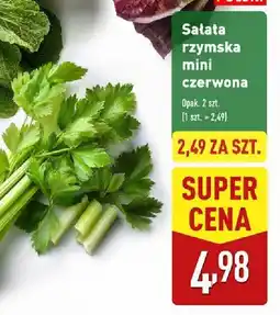 ALDI Sałata rzymska mini czerwona Aldi oferta