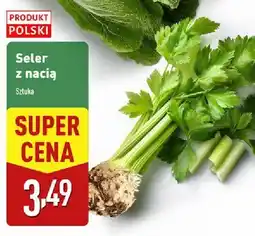 ALDI Seler z nacią Aldi oferta