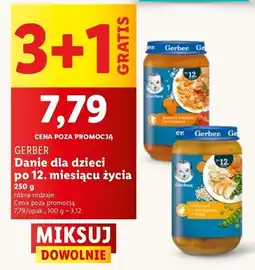Lidl Danie dla dzieci po 12. miesiącu życia Gerber oferta