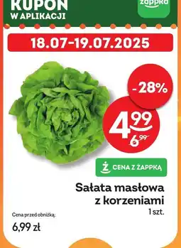 Żabka Sałata masłowa z korzeniami Żabka oferta