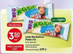 Żabka Lody Big Kaktus Patec Ice oferta