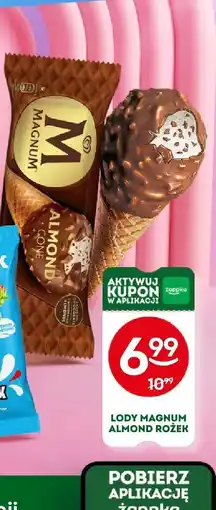 Żabka Lody Magnum Almond Rożek oferta