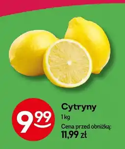 Żabka Cytryny Żabka oferta