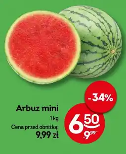 Żabka Arbuz mini Żabka oferta