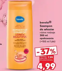 Kaufland Szampon oferta