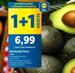 Lidl Awokado hass oferta