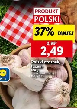 Lidl Czosnek oferta