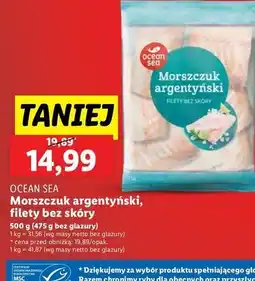 Lidl Morszczuk argentyński filet bez skóry Oceansea oferta