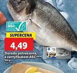 Lidl Dorada patroszona oferta