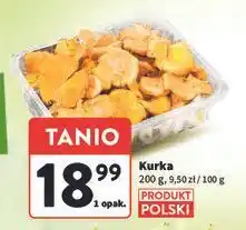 Intermarche Kurki oferta