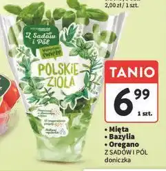 Intermarche Oregano Z Sadów I Pól oferta