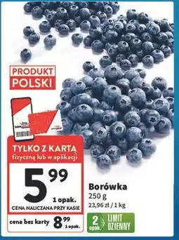 Intermarche Borówki amerykańskie oferta