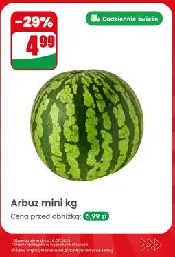 Dino Arbuz mini Dino oferta