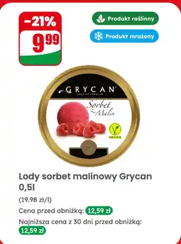 Dino Lody sorbet malinowy Grycan oferta