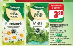 Dino Herbatka mięta Herbapol Zielnik Polski oferta