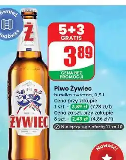 Dino Piwo Żywiec Jasne Pełne oferta