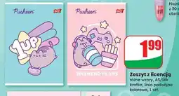 Dino Zeszyt a5/16 k. pusheen Unipap oferta