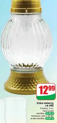 Dino Znicz solarny la492 oferta