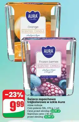 Dino Świeca trójkolorowa forest fruits Aura Fragrances Candles oferta