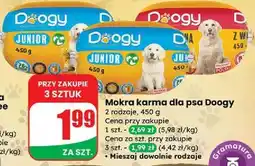 Dino Karma dla psa z wołowiną Doogy oferta