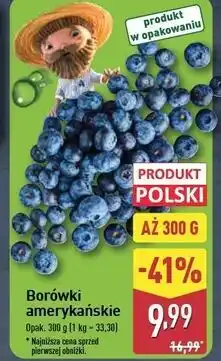 ALDI Borówki amerykańskie oferta