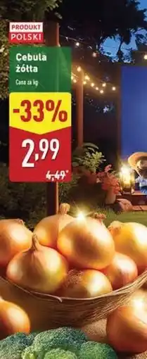 ALDI Cebula żółta oferta