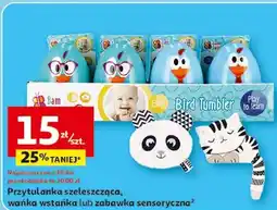 Auchan Zabawka sensoryczna oferta