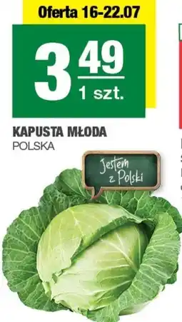 Spar Kapusta młoda Polski oferta